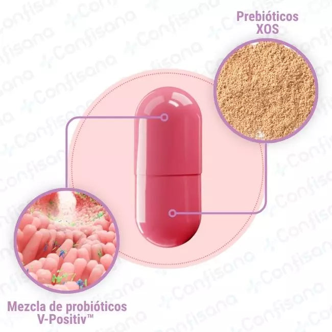 URO Vaginal Probiotics – El equilibrio íntimo que transforma tu día a día